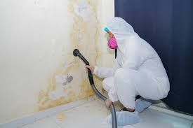 Best Mold Remediation for Vacation Homes  in East Point, GA